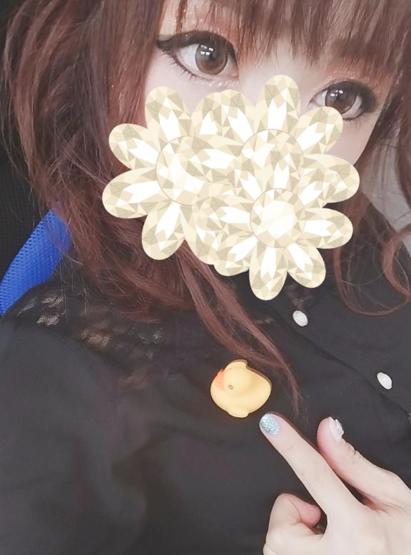 「あおい」の写真