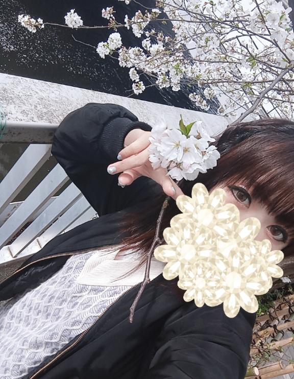 「あおい」の写真
