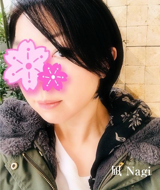 「凪」の写真