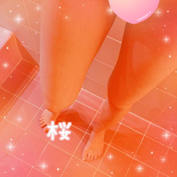 「さくら」の写真