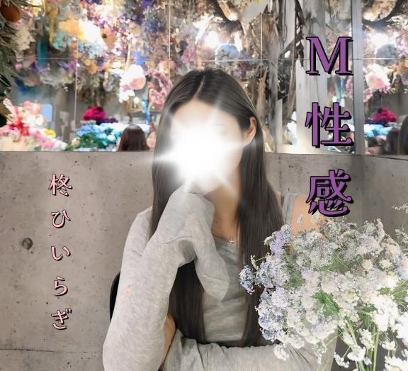 「柊【ひいらぎ】」の写真