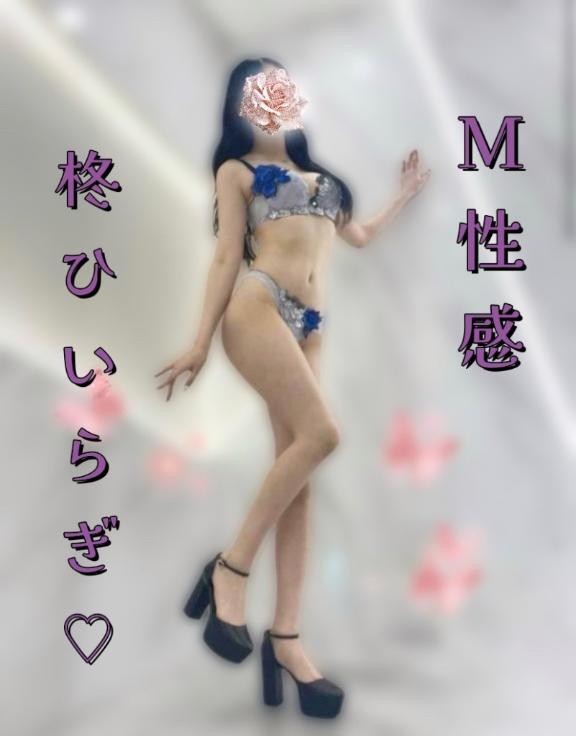 「柊【ひいらぎ】」の写真