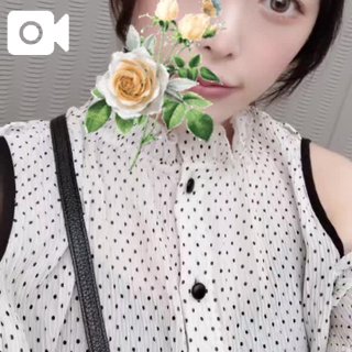 「ことり」の写真