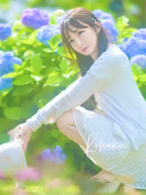「こはく」の写真
