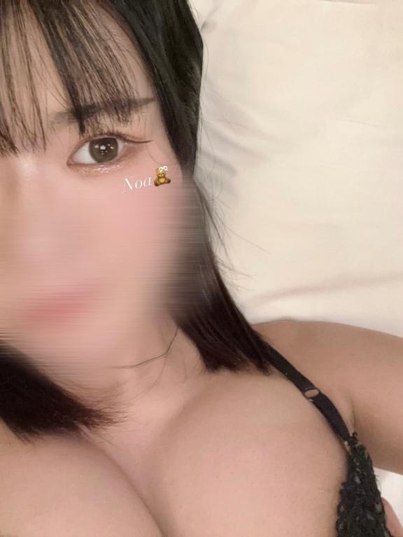 「ノア」の写真