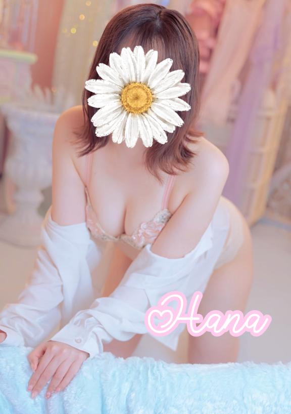 「はな」の写真