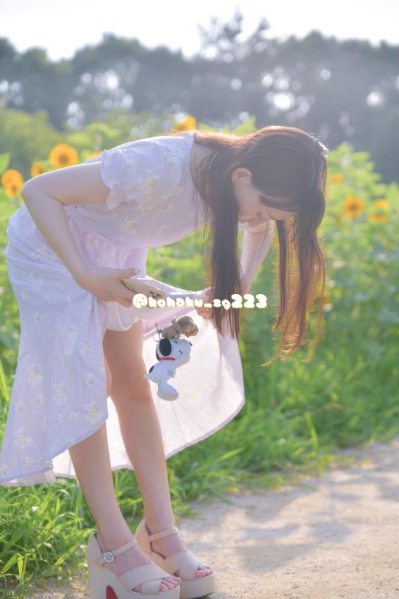 「こはく」の写真