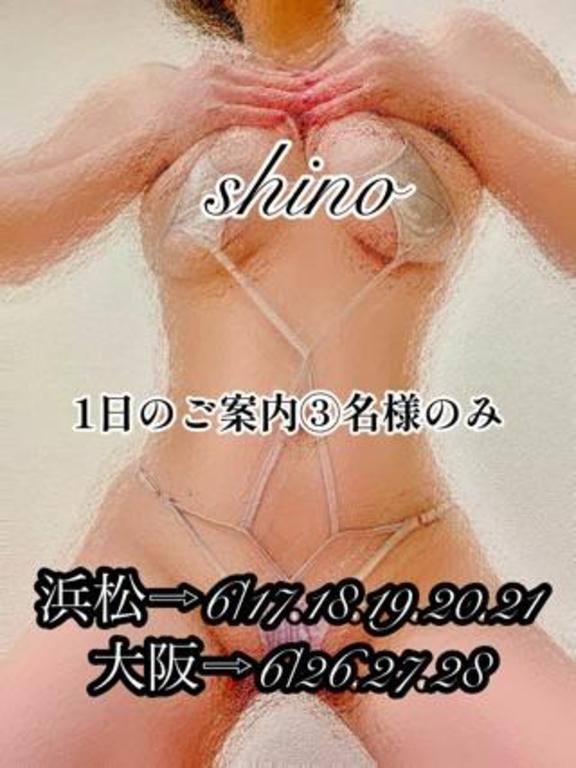 「志乃」の写真