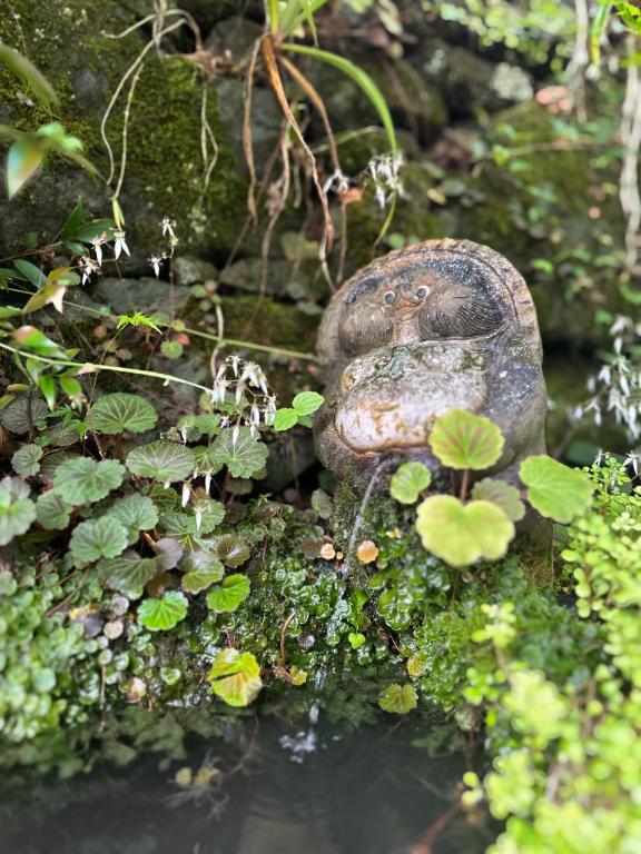 「結羽【ゆう】」の写真