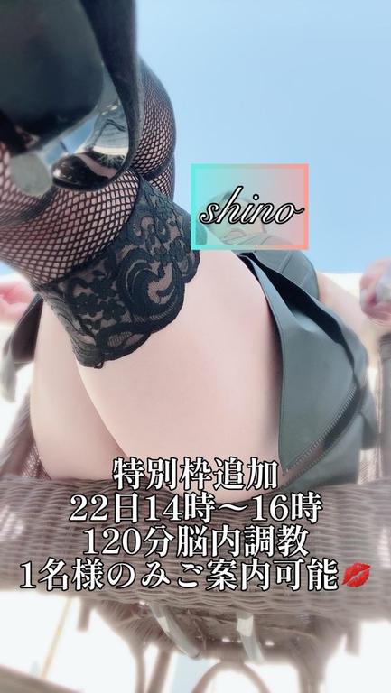 「志乃」の写真