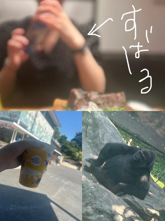 「さやちん」の写真