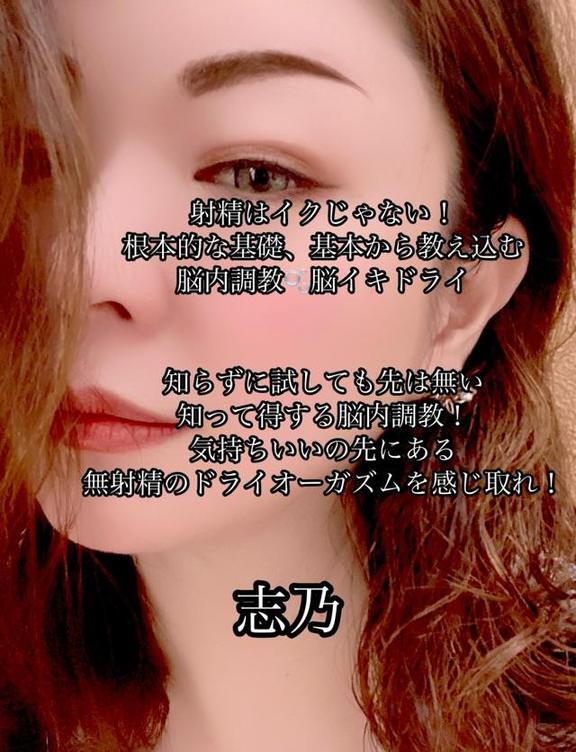 「志乃」の写真