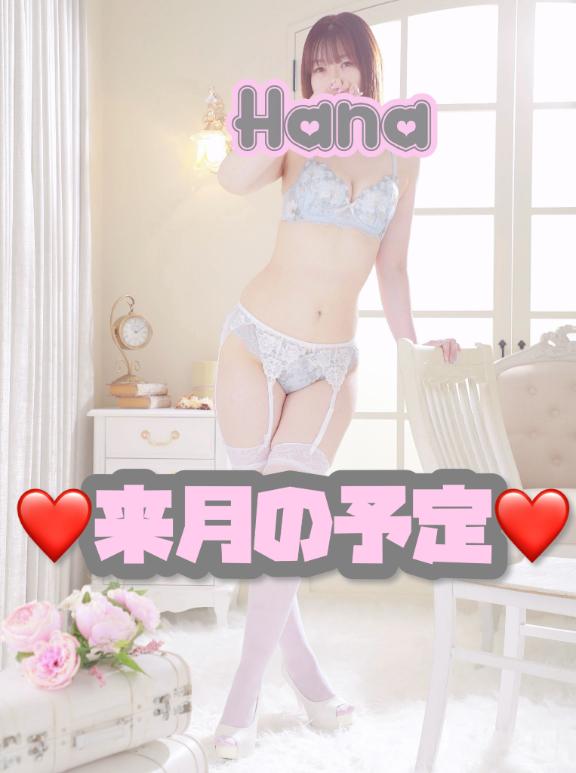 「はな」の写真