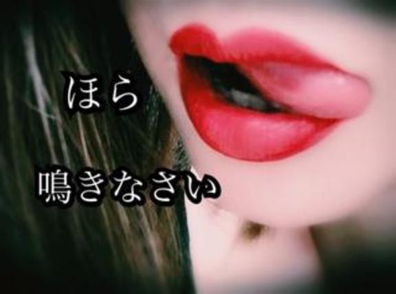 「志乃」の写真
