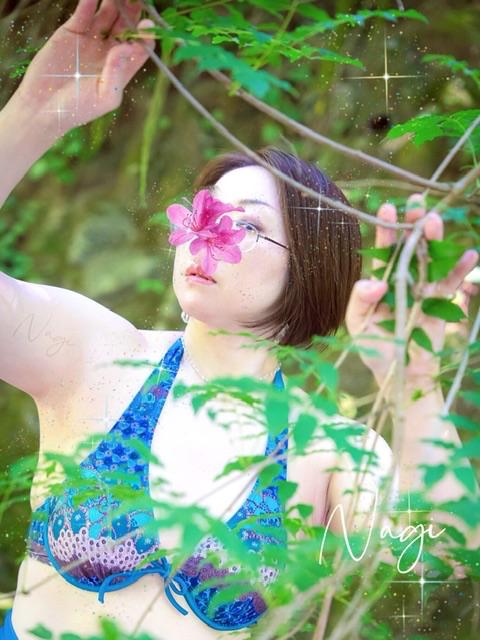 「凪」の写真