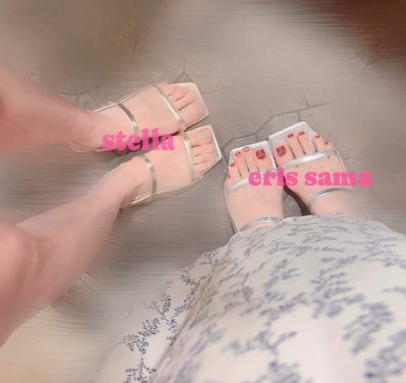 「ステラ」の写真