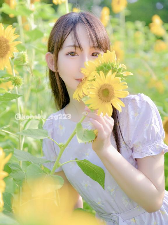 「こはく」の写真