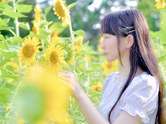 「こはく」の写真