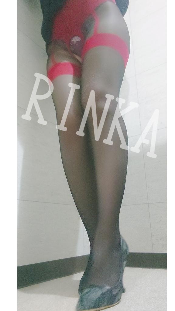 「凛華（りんか）」の写真