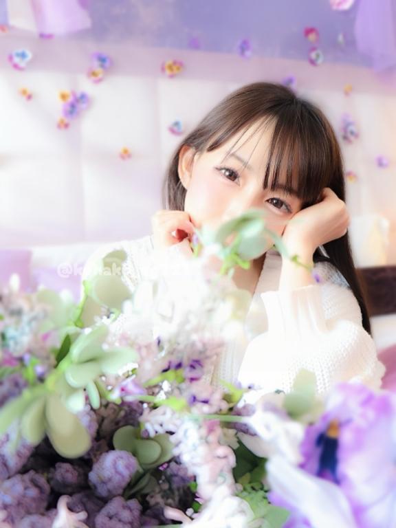 「こはく」の写真