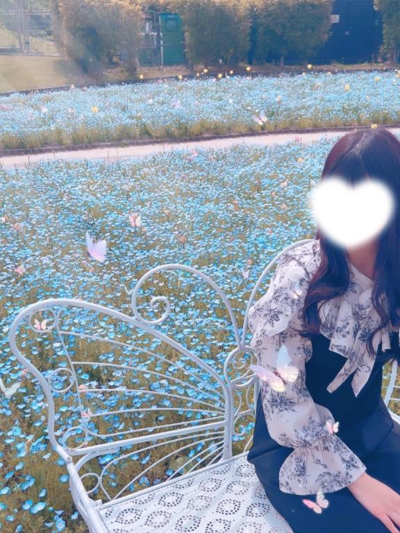 「カレン」の写真