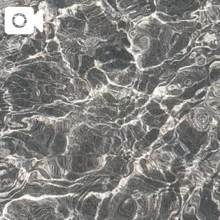 「ほたる」の写真