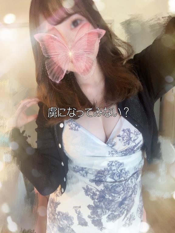 「ゆめか」の写真