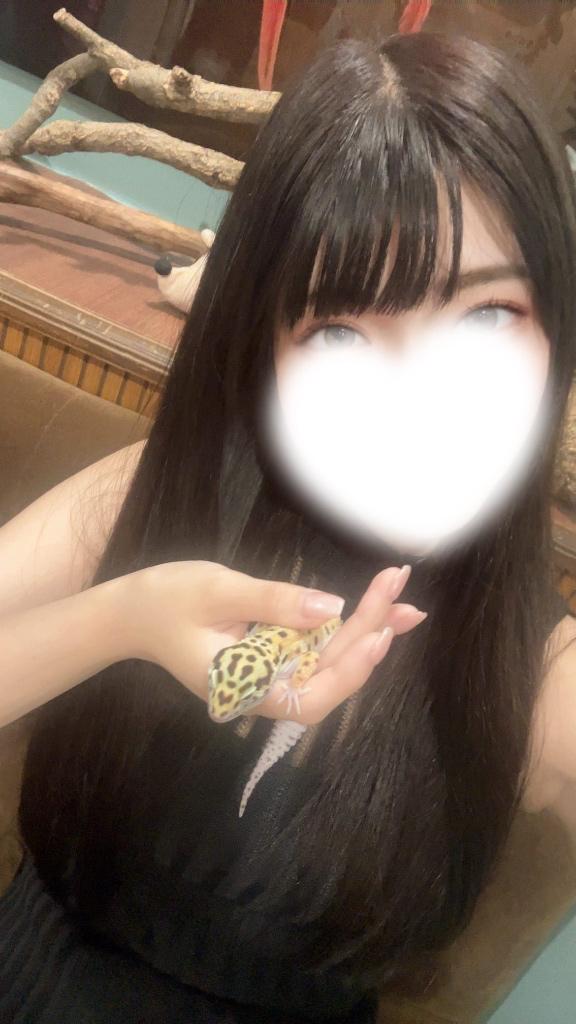 「カレン」の写真
