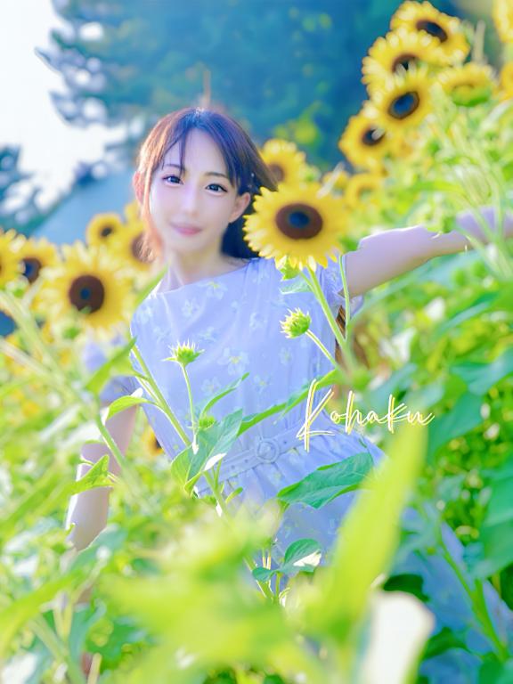 「こはく」の写真