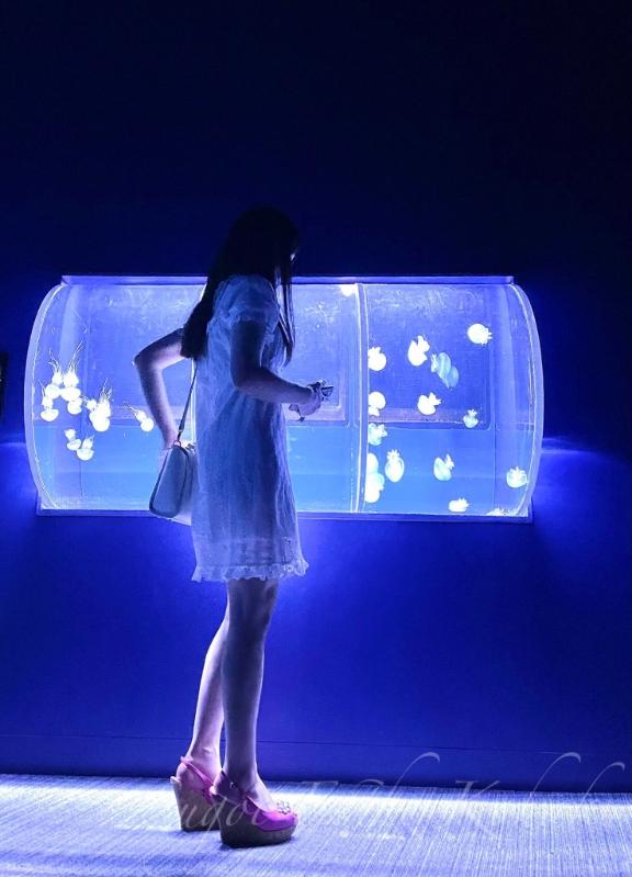 「こはく」の写真