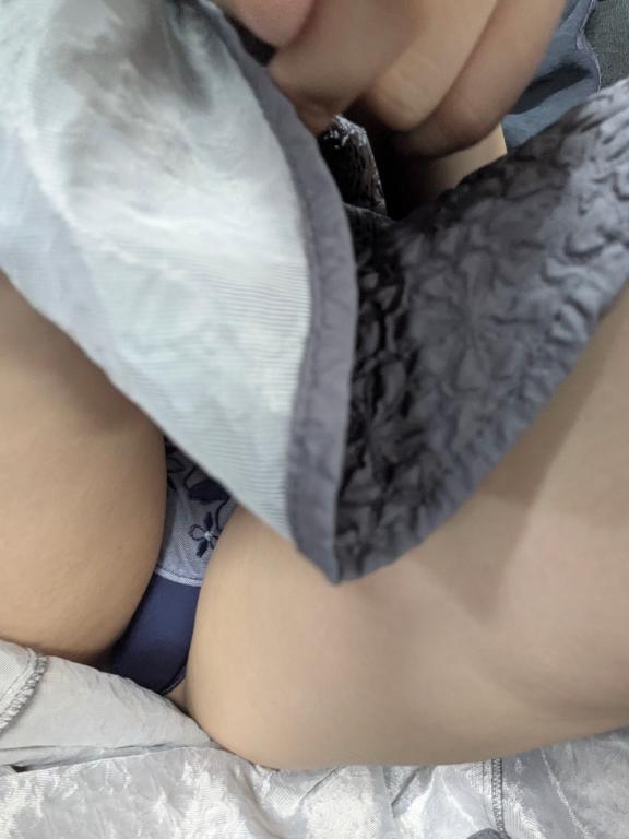 「しおん」の写真