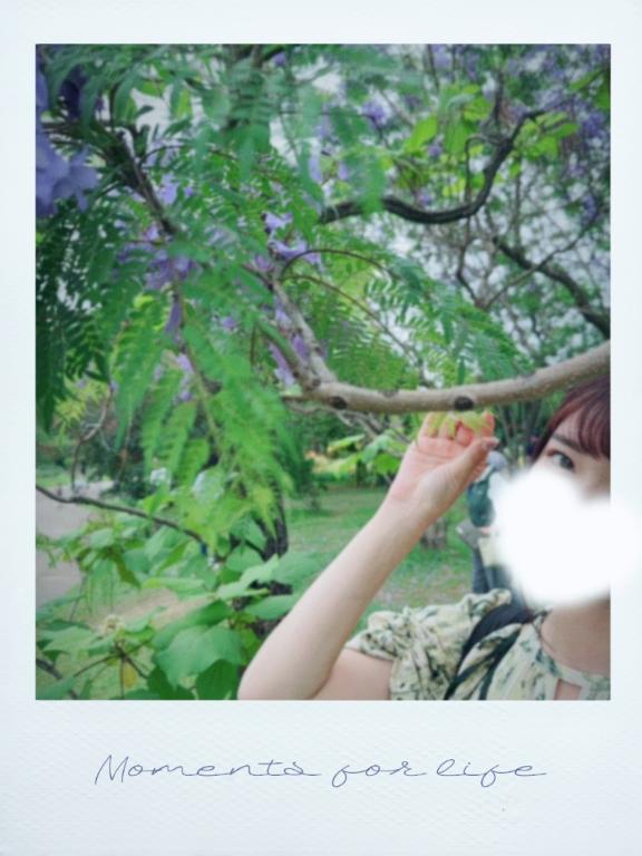 「カレン」の写真