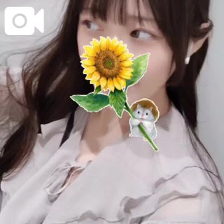 「ことり」の写真
