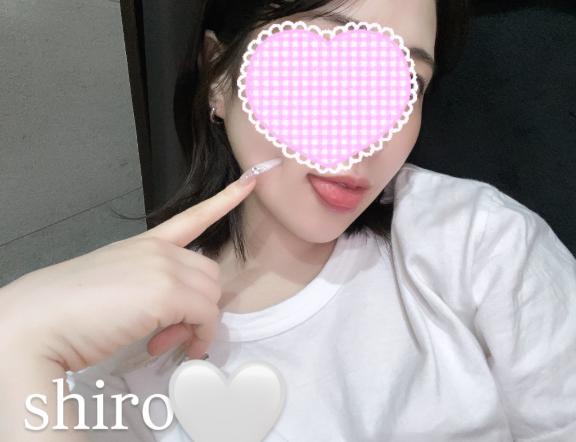 「しろ」の写真