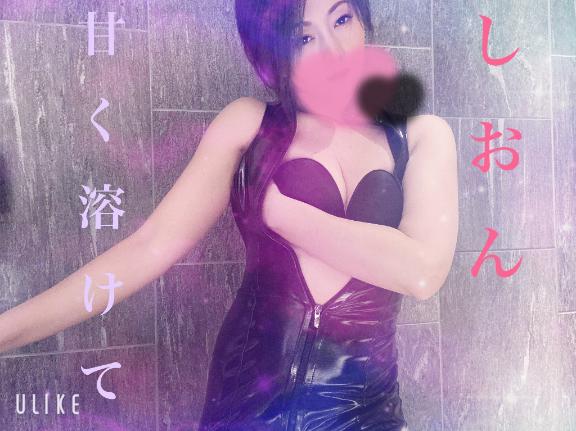 「しおん」の写真