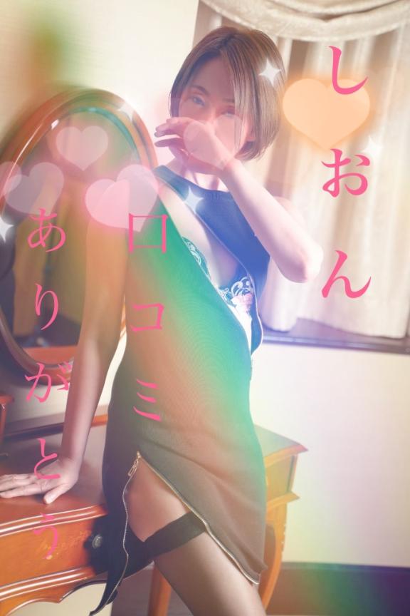 「しおん」の写真