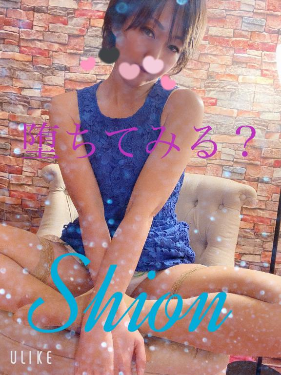 「しおん」の写真