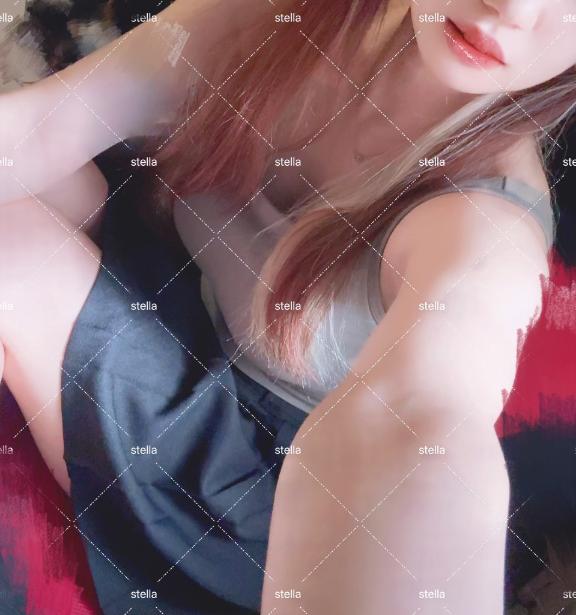 「ステラ」の写真