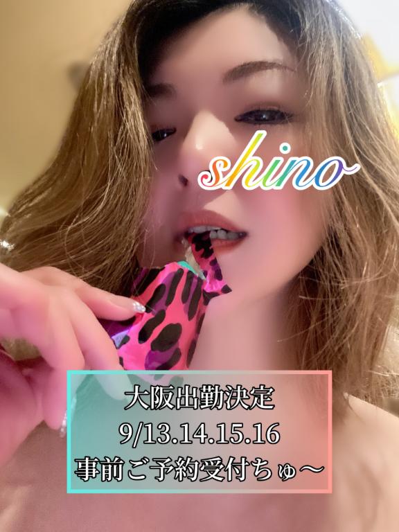 「志乃（しの）」の写真