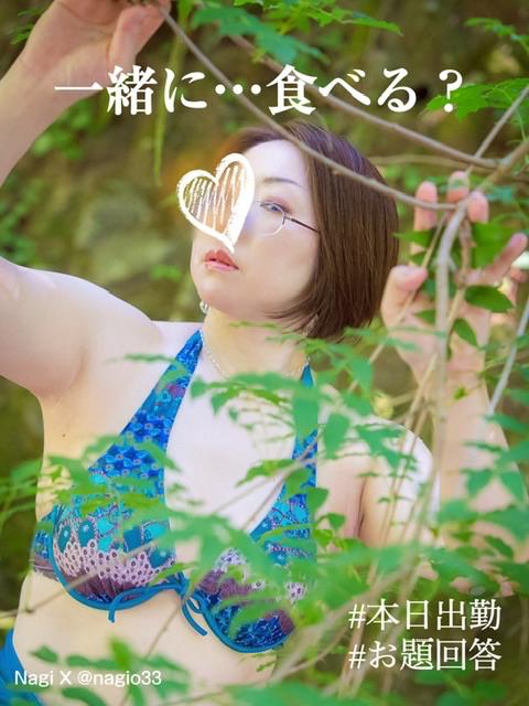 「凪」の写真