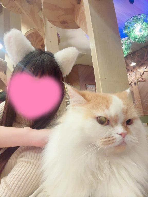「カレン」の写真