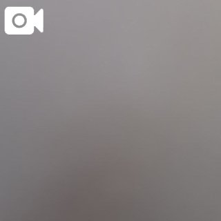 「しおん」の写真