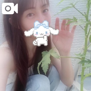 「こはく」の写真