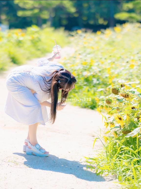 「こはく」の写真