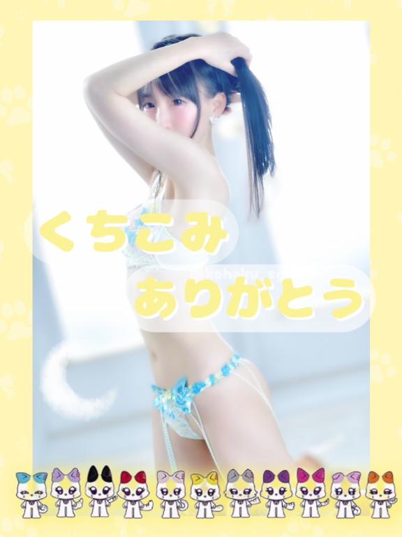 「こはく」の写真
