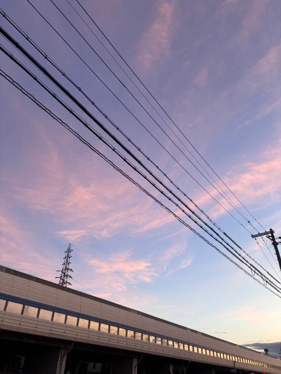 「ゆめか」の写真