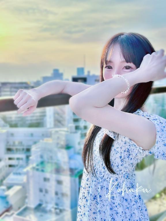 「こはく」の写真