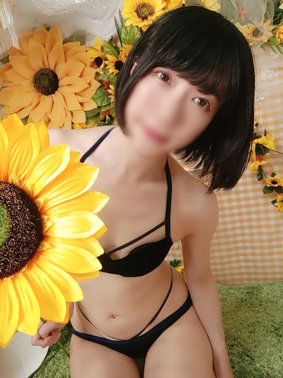 「ましろ」の写真