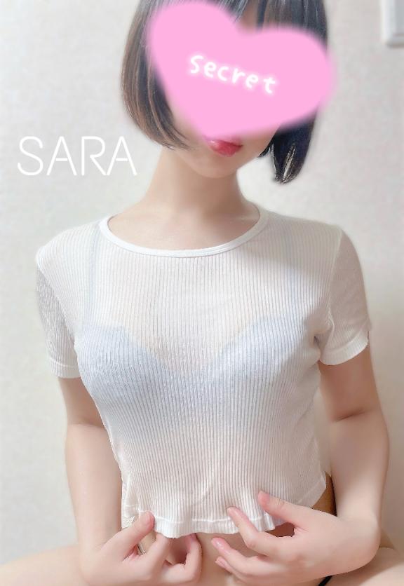 「サラ」の写真