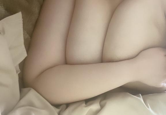 「ねね」の写真